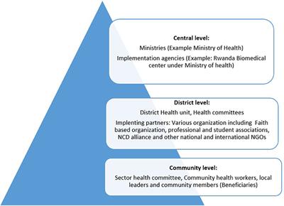 Population-Level Interventions Targeting Risk Factors for Hypertension and Diabetes in Rwanda: A Situational Analysis